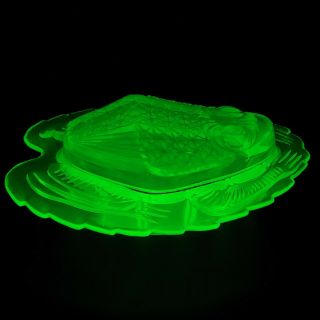 LG Wright Vaseline Glass Frog Covered Dish - Canary Yellow Uranium Bryce Bros 3