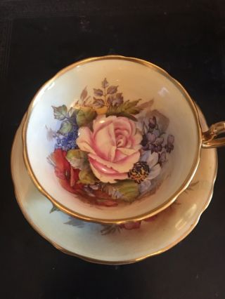 Aynsley Signed J A Bailey Cabbage Rose Pattern Teacup and Saucer 3