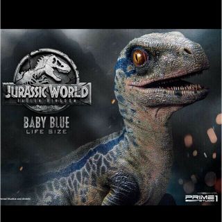1/1 Jurassic World Baby Blue Life Size Statue Prime One