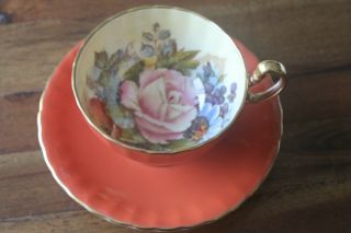 Aynsley Orange Rust J A Bailey Cabbage Rose Poppy Bouquet Teacup Tea Cup Saucer