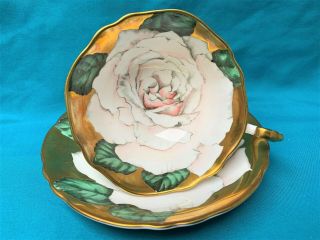 Paragon Floating Large White Cabbage Rose On Gold Cup & Saucer