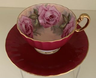 Aynsley Bone China Tea Cup & Saucer Cabbage Roses Burgundy