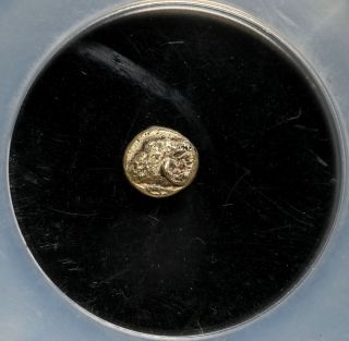 Ionia.  Phocaea.  625 - 522 Bc.  El Gold 1/24 Stater,  Myshemihecte,  Ngc Au