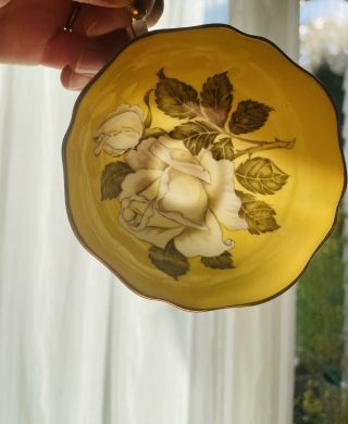 Paragon Large Cabbage White Roses Yellow gold double warrant teacup saucer 4