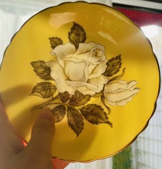 Paragon Large Cabbage White Roses Yellow gold double warrant teacup saucer 5