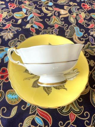Paragon Large Cabbage White Roses Yellow gold double warrant teacup saucer 6
