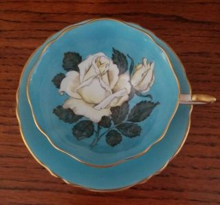 Paragon Large Cabbage White Roses Blue Gold Double Warrant Tea Cup Teacup Saucer