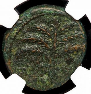 JUDAEA.  Bar Kokhba Revolt,  AD 132 - 135.  AE middle bronze,  NGC VF 2