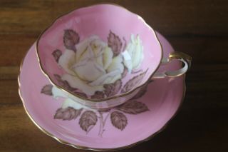 Paragon Large Cabbage White Roses Pink Gold Double Warrant Tea Cup Teacup Saucer