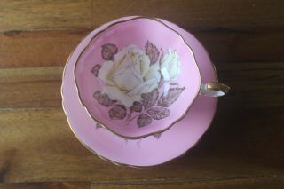 Paragon Large Cabbage White Roses pink gold double warrant tea cup teacup saucer 2