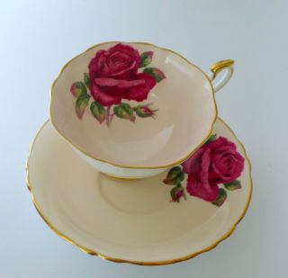 Paragon R.  Johnson Red Cabbage Rose Tea Cup & Saucer Set