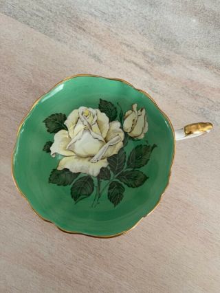Paragon Tea Cup Large White Cabbage Rose Teacup Only