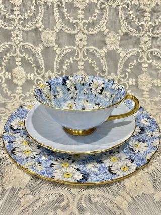 Shelley Footed Oleander Blue Daisy Chintz Cup Saucer & Plate 13413 Trio