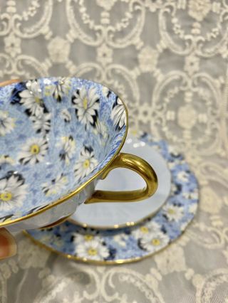 SHELLEY FOOTED OLEANDER Blue Daisy Chintz Cup SAUCER & PLATE 13413 TRIO 4