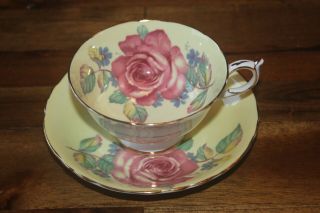 Paragon Large Pink Floating Cabbage Rose Yellow Tea Cup Teacup Saucer Flowers
