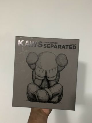 ⭐️ Kaws Separated Brown Vinyl Figure,  In Hand - Ready To Ship ⭐️