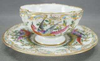 Porcelaine De Paris Hand Painted Chelsea Bird Floral Gold Quatrefoil Tea Cup F