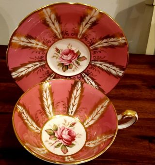 Paragon Cup & Saucer Cabbage Pink Rose Feather Gold Vintage Bone China England