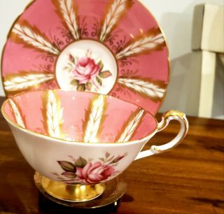 Paragon Cup & Saucer Cabbage Pink Rose Feather Gold Vintage Bone China England 2