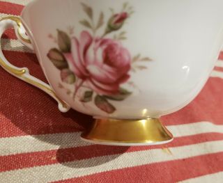 Paragon Cup & Saucer Cabbage Pink Rose Feather Gold Vintage Bone China England 3