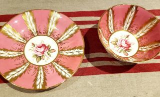 Paragon Cup & Saucer Cabbage Pink Rose Feather Gold Vintage Bone China England 4