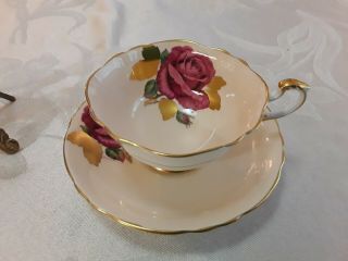 Paragon Giant Rose Tea Cup And Saucer Peach With Gold Leaves,  Signed R.  Johnson