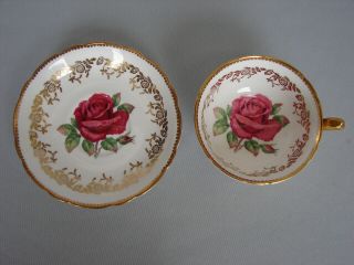 Paragon Large Floating Red Cabbage Rose Cup & Saucer White W/gold Trim