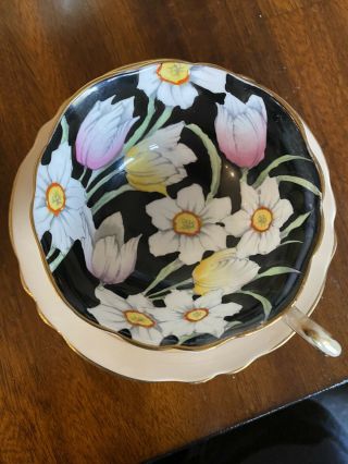 Vintage Paragon Teacup Saucer Tulips And Daisys - Black