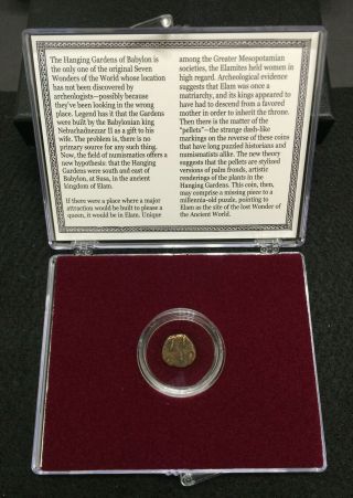Lost Wonder Of The Ancient World Coin Of The Hanging Gardens Of Babylon Inc