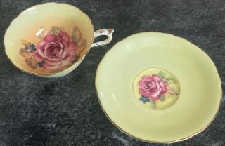 Double Warranted Paragon Porcelain Floating Rose A6624 Cabinet Cup & Saucer Duo