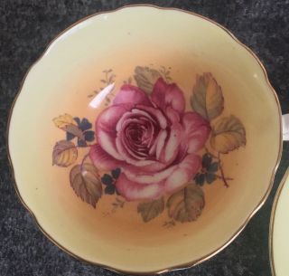 double warranted PARAGON porcelain FLOATING ROSE A6624 CABINET CUP & SAUCER DUO 2