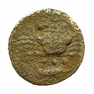 01004 Ancient Greek Coin Akragas Sicily Ae20mm Crab Crayfish / Eagle