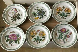 Lovely Portmeirion Botanic Garden Set Of 6 Dinner Plates Vintage