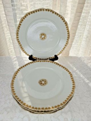 Haviland & Co Limoges France Set Of 4 Dinner Plates 9 1/4 " Gold Leaf