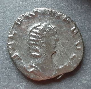 Roman Coins.  Salonina Wife Of Gallienus