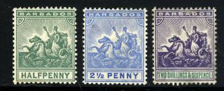 Barbados 1912 - 16 Seal Of Colony Group Wmk Mult Crown Ca Sg 135,  139 & 144