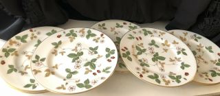 Set Of 8 Wedgwood Wild Strawberry Gold Rim 6 Inch Bread And Butter Plates