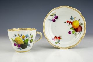 Antique Meissen Dresden Porcelain - Hand Painted Fruit - Cabinet Cup & Saucer