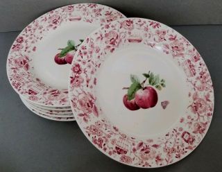 (6) Pfaltzgraff Delicious 11 " Dinner Plates Red Apple Pink Floral Rim Vgc