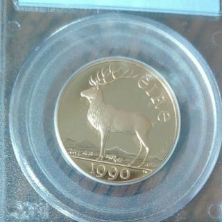 1990 Ireland 50 Ecu Coin Red Deer Eire.  4422 Agw Proof Gold Slab Pcgs Pr68dcam