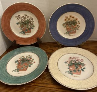 Set Of 4 Wedgwood Sarah’s Garden Salad Plates 4 Colors Queen’s Ware England
