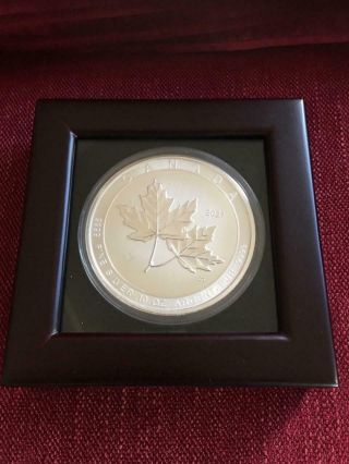 ✅ In - Hand ✅ Fast 2021 10 Oz Canadian Magnificent Maple Leaf In Display