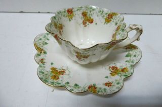 Shelley Foley Wileman Trailing Daisies Pattern Porcelain China Cup Saucer 6948