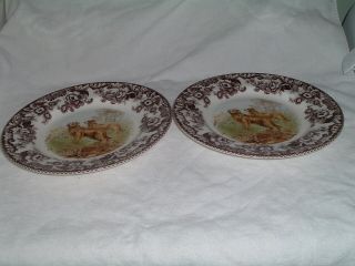 Spode Woodland Hunting Dogs Goldens Dinner Plates 10 1/2 " England Set Of 2