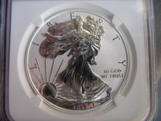2021 w reverse proof silver eagle type 1 NGC PF 70 3