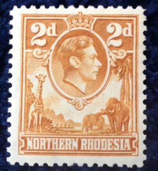 Northern Rhodesia George Vi 1 2d Definitive Sg 31 Mounted C/v £50 In 2016