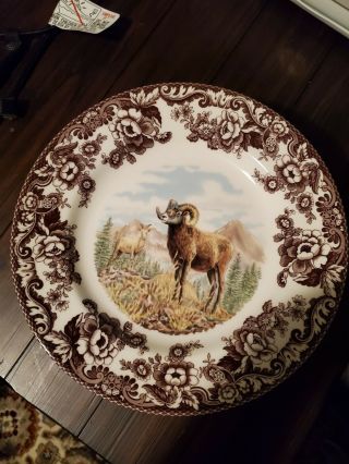 Set Of 3 Spode Woodland Big Horn Sheep Dinner Plates 10.  5 " England