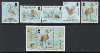 Cayman Islands: 1994 Black - Billed Whistling Duck Set,  M.  S.  Sg778 - 82,  Ms783 Mnh