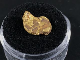 1.  896 Gram California Gold Nugget ⭐️ 1/2” X 5/8” X 7 - 10mm Thick Hand Collected