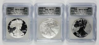 2006 - W Proof 20th Anniversary Silver Eagle Set Icg Pr70 Dcam
